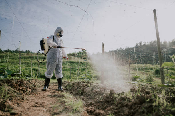 Best Pest Prevention Services  in Villanova, PA