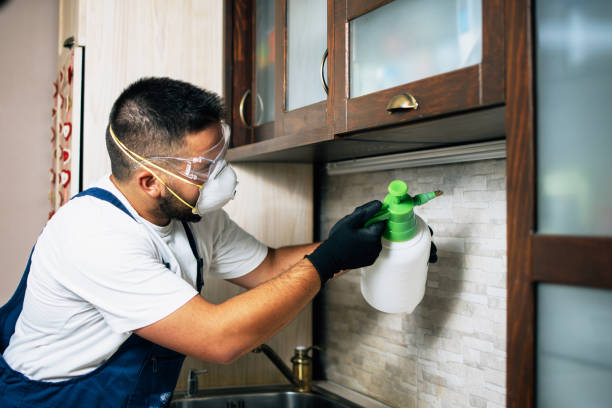Best Pest Prevention Services  in Villanova, PA