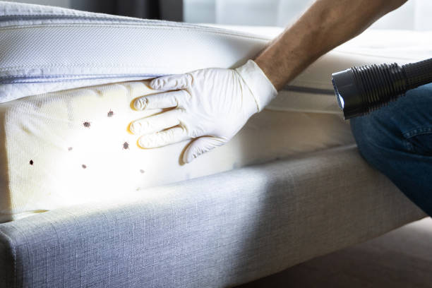 Best Residential Pest Control  in Villanova, PA