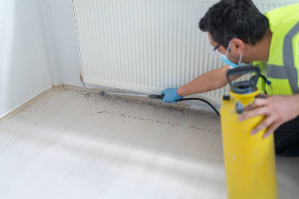 Best Cockroach Control Services  in Villanova, PA