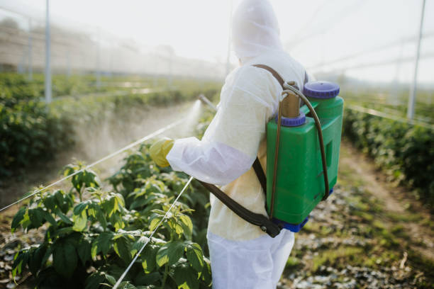 Professional Pest Control in Villanova, PA